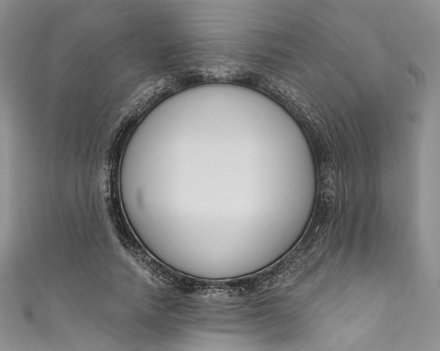 X0000110900738200907021537