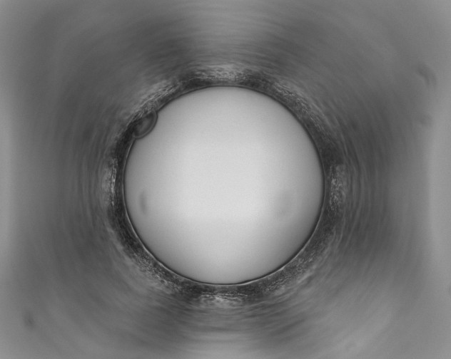 X0000110900739200907021537
