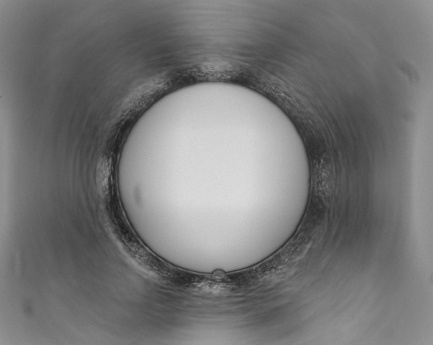 X0000110900742200907021537