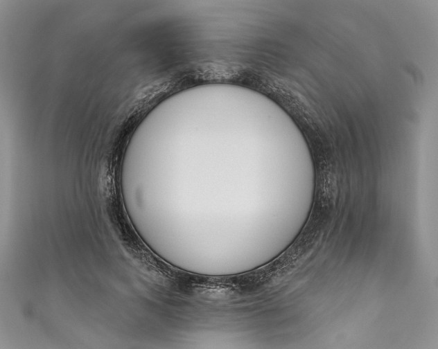 X0000110900743200907021537