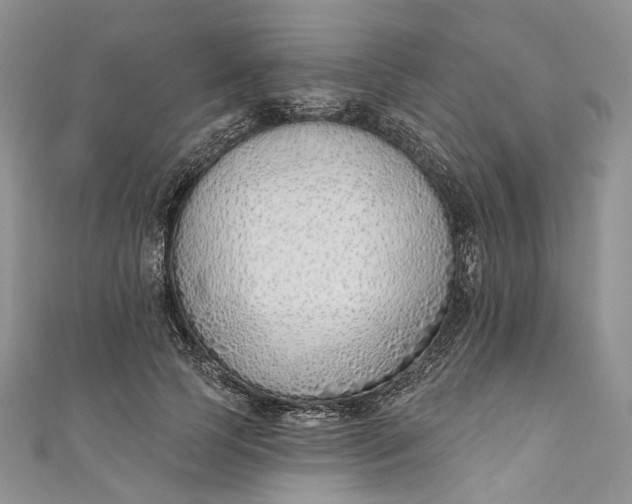 X0000110900745200907021537