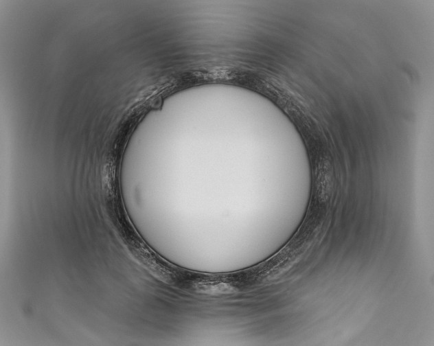 X0000110900747200907021537