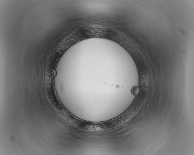 X0000110900751200907021537