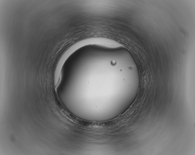 X0000110900756200907021537