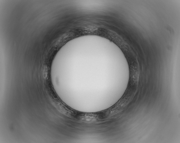 X0000110900758200907021537
