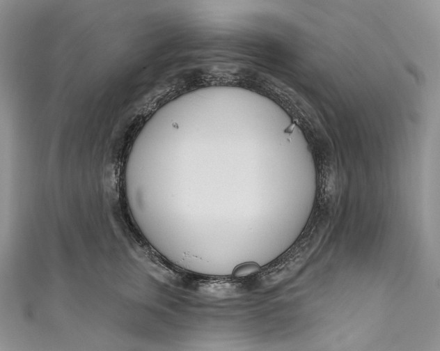 X0000110900759200907021537