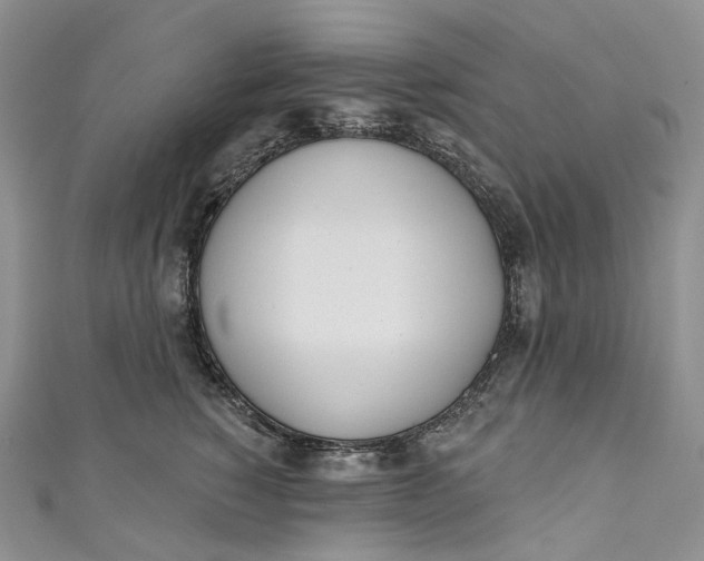 X0000110900760200907021537
