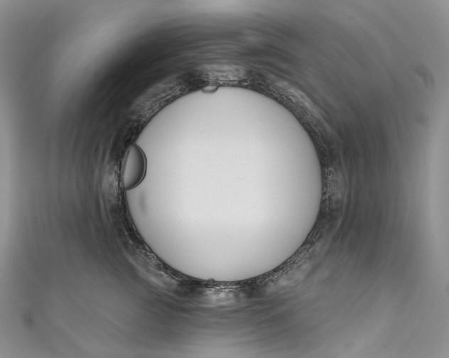 X0000110900761200907021537