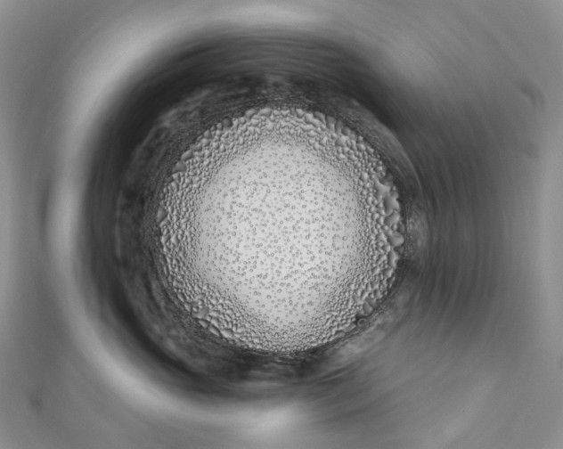 X0000110900765200907021537
