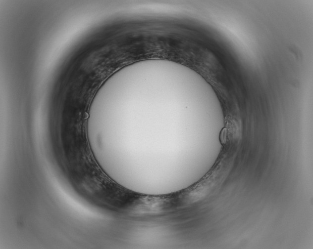 X0000110900766200907021537