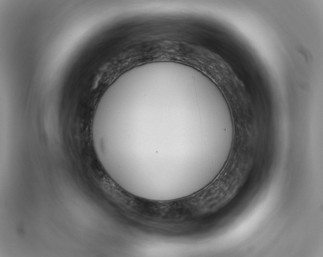 X0000110900767200907021537