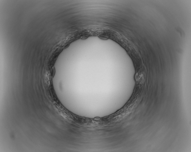 X0000110900772200907021537