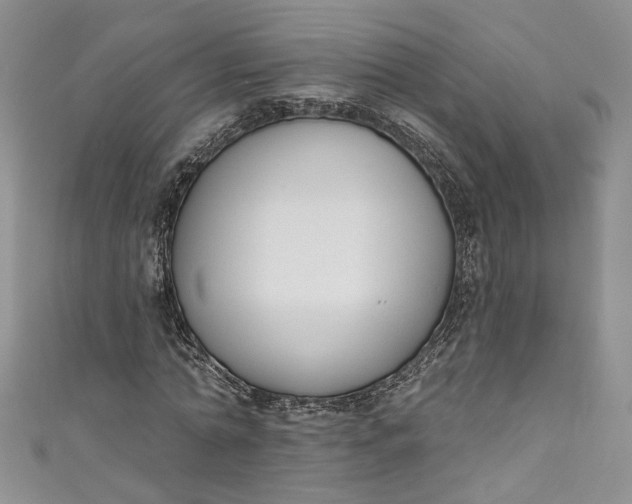 X0000110900774200907021537