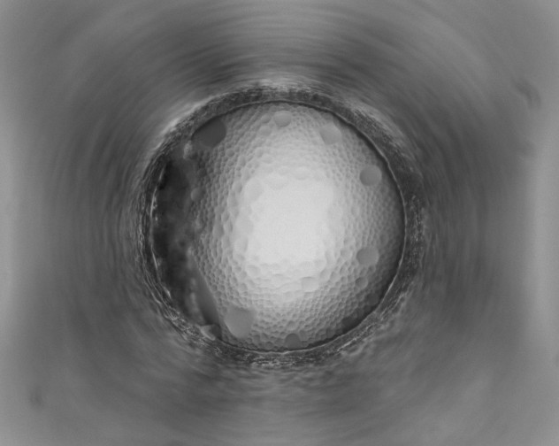 X0000110900776200907021537