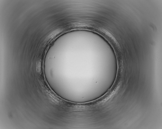 X0000110900777200907021537