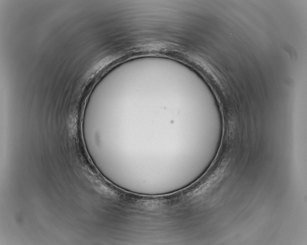 X0000110900778200907021537
