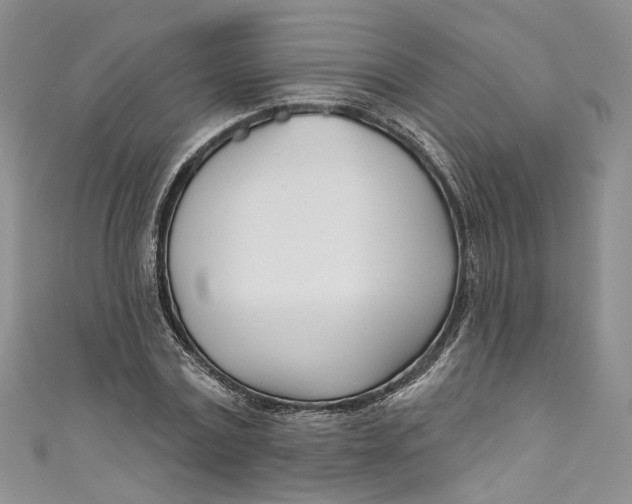 X0000110900779200907021537