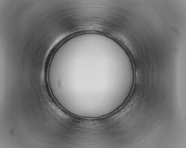X0000110900780200907021537