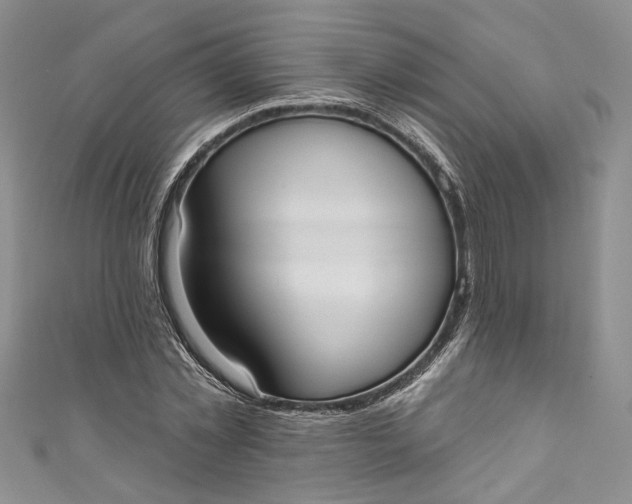 X0000110900781200907021537