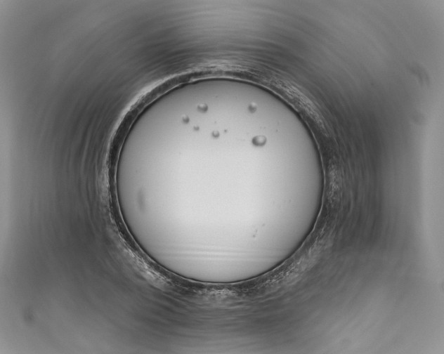 X0000110900784200907021536