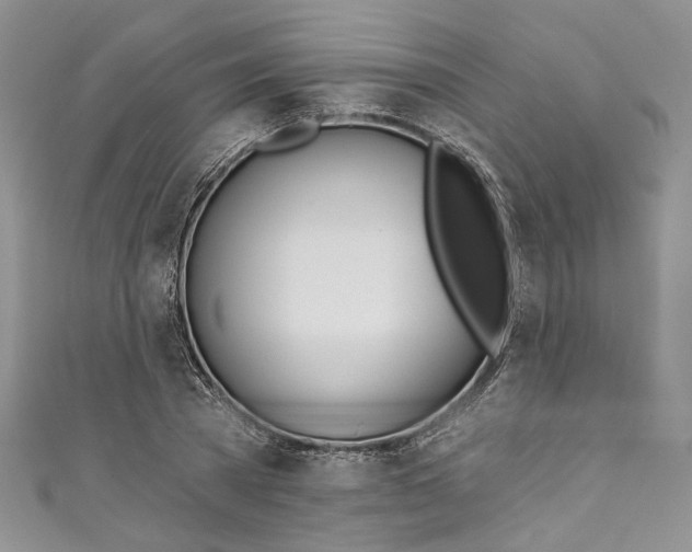 X0000110900785200907021536