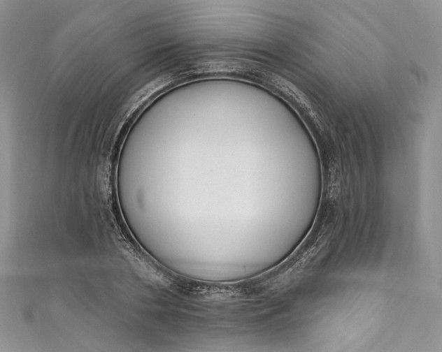 X0000110900786200907021536