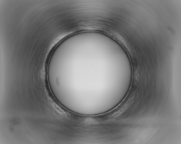 X0000110900787200907021536