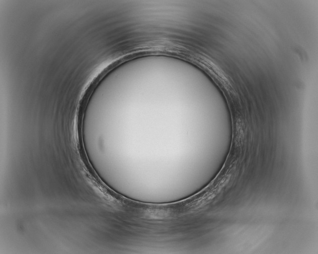 X0000110900788200907021536