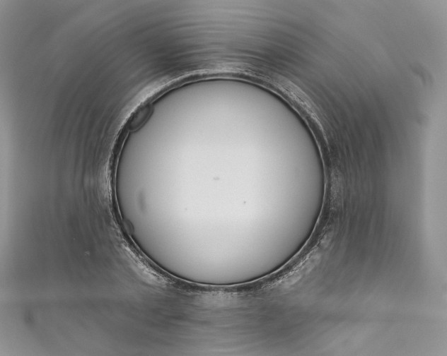 X0000110900789200907021536