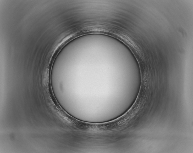 X0000110900790200907021536