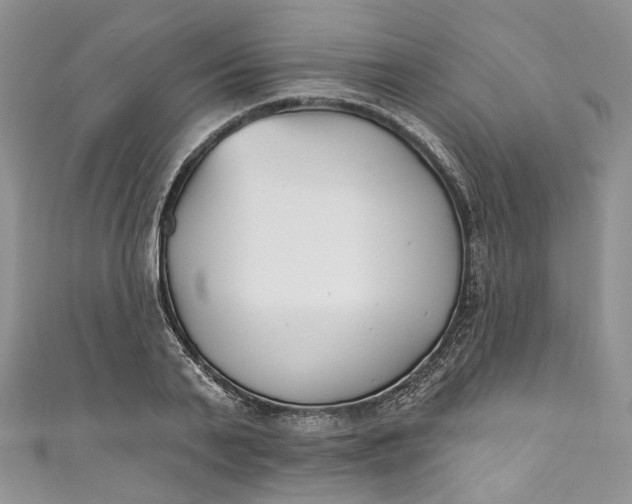 X0000110900791200907021536