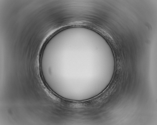 X0000110900792200907021536