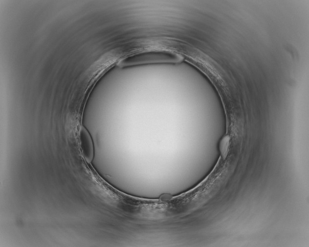 X0000110900793200907021536