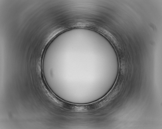 X0000110900794200907021536