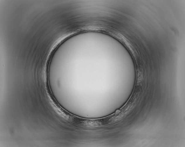 X0000110900795200907021536