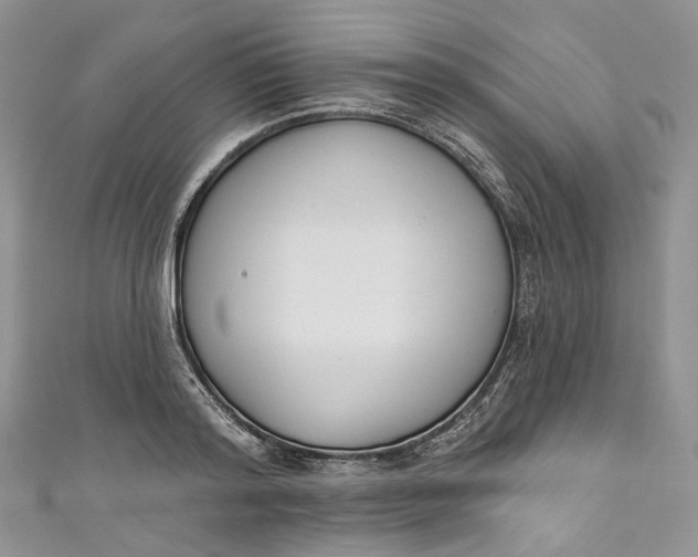 X0000110900796200907021536