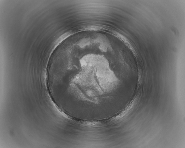 X0000110900802200907021536