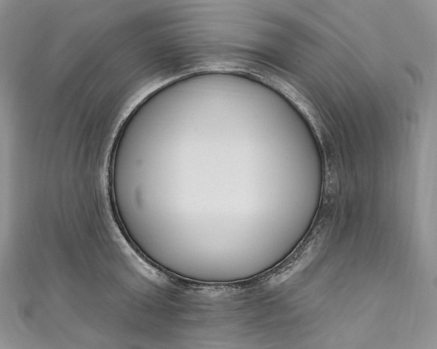 X0000110900803200907021536