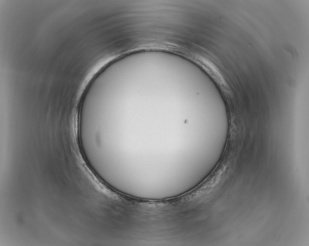 X0000110900804200907021536