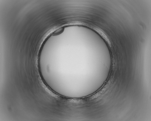 X0000110900805200907021536