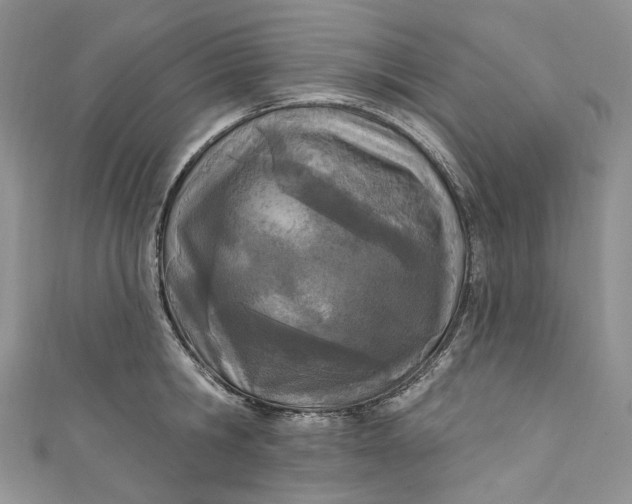 X0000110900806200907021536