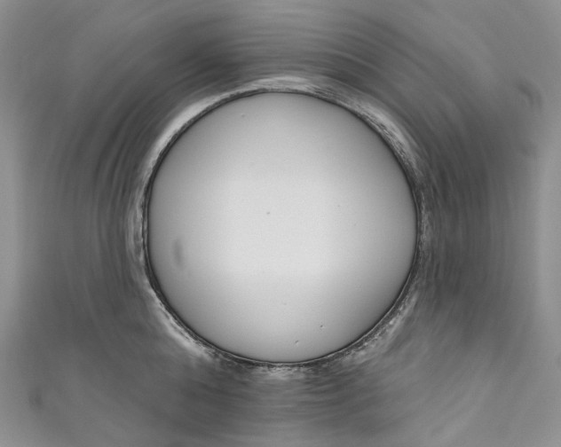 X0000110900808200907021536