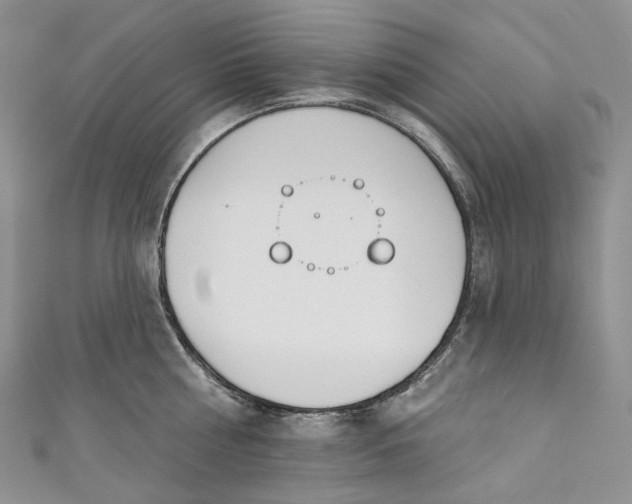 X0000110900810200907021536