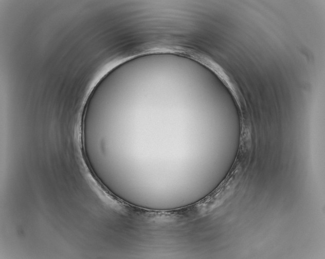 X0000110900811200907021536