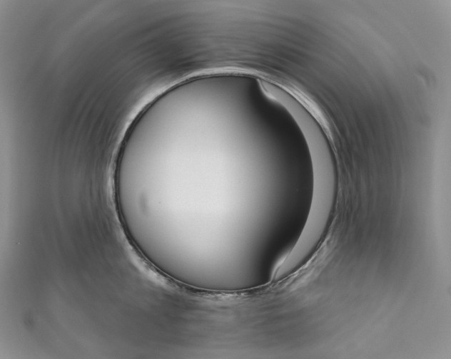 X0000110900813200907021536