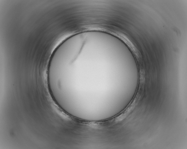 X0000110900814200907021536