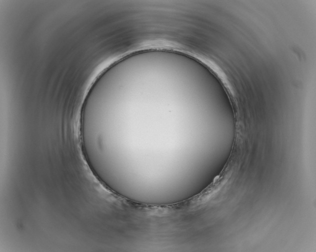 X0000110900815200907021536