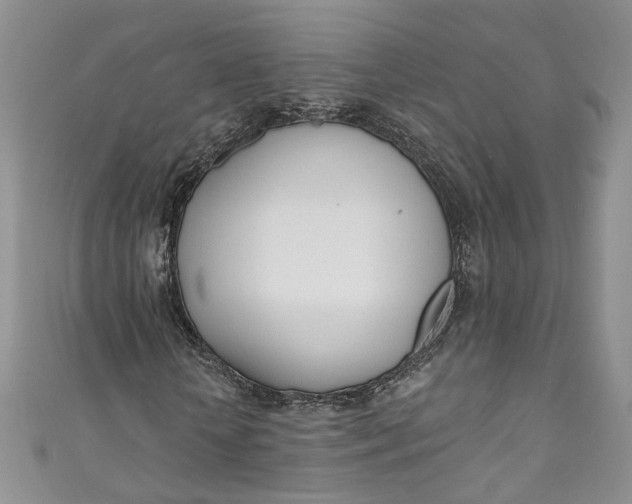 X0000110900818200907021535