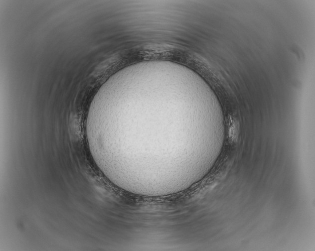 X0000110900819200907021535