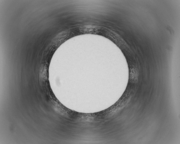 X0000110900820200907021536